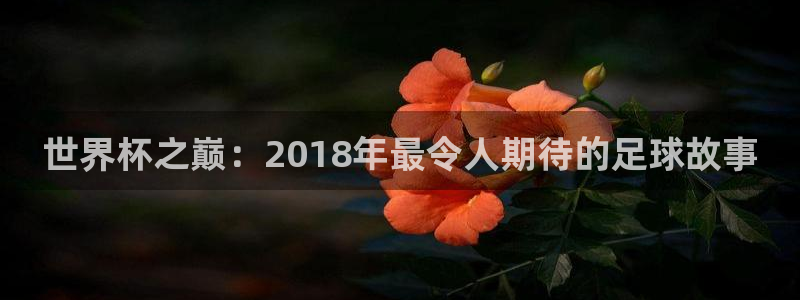 世界杯官网:世界杯之巅:2018年最令人期待的足球故事