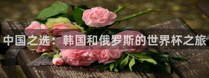 足球世界杯2026年赛程时间表:中国之选:韩国和俄罗斯的世界杯之旅