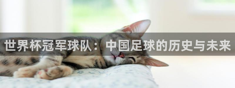 2026世界杯赛程表完整版:世界杯冠军球队:中国足球的历史与未来