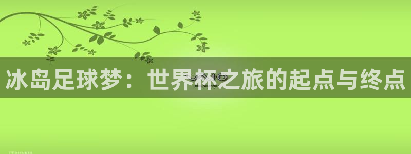 世界杯比赛时间:冰岛足球梦:世界杯之旅的起点与终点