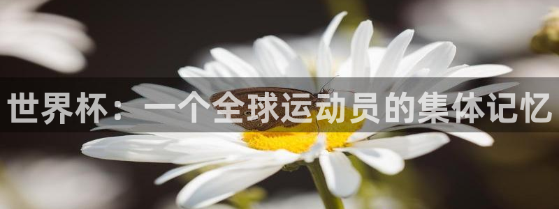 世界杯欧洲区预选赛:世界杯:一个全球运动员的集体记忆